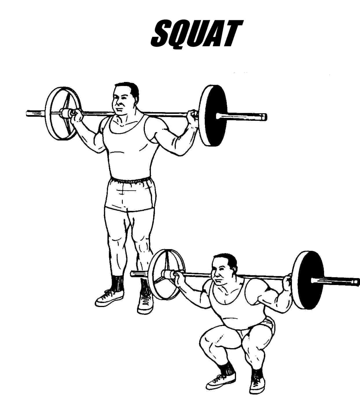 squats.jpg