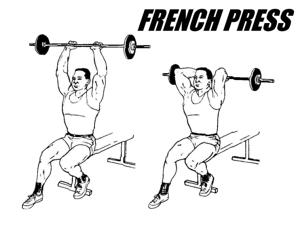 Dumbbell French Press - Exercise How-to EZ Bar French Press - YouTube Seate...